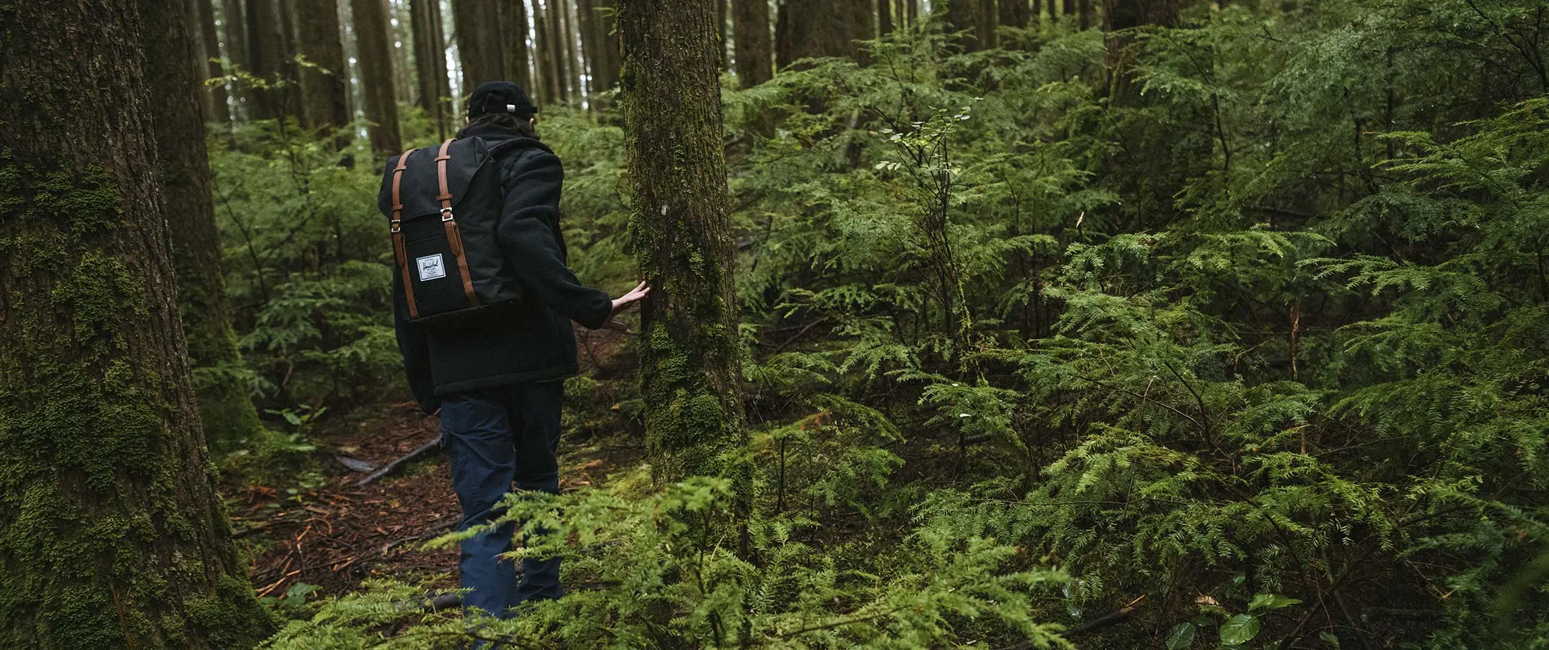 herschel supply travel backpack