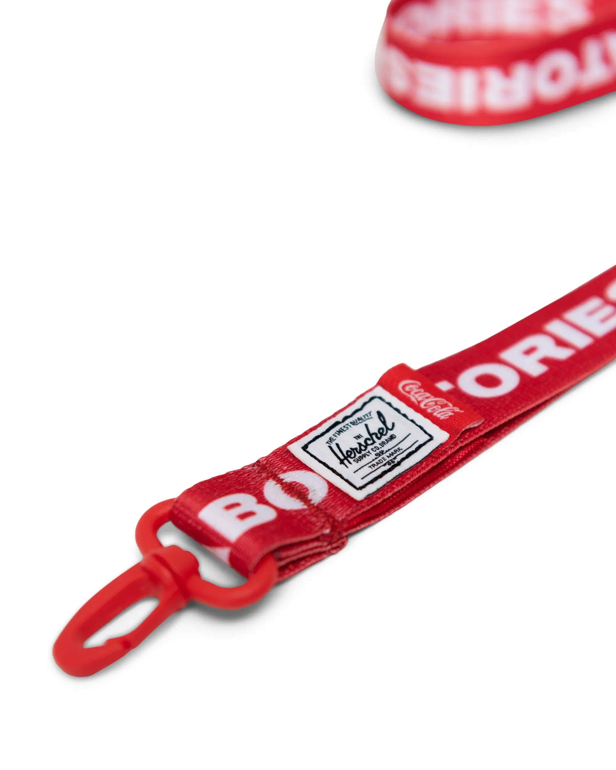Lanyard